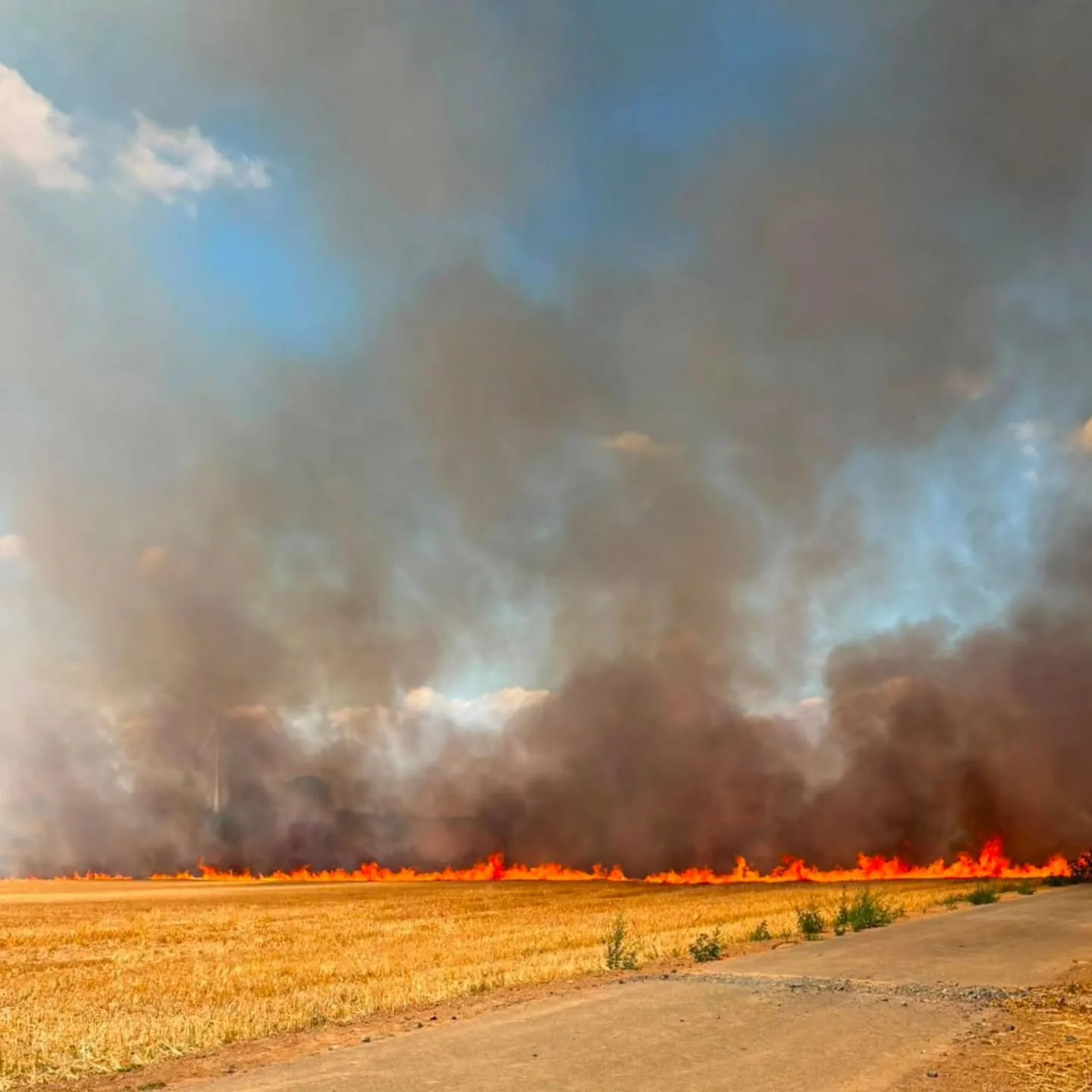 Feuerwehrleute bei der Brandbekämpfung auf einem Feld